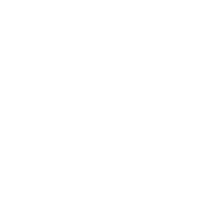 Objective and Overview